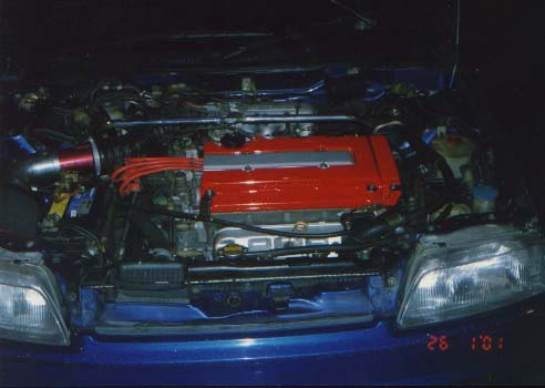 chilox.jpg